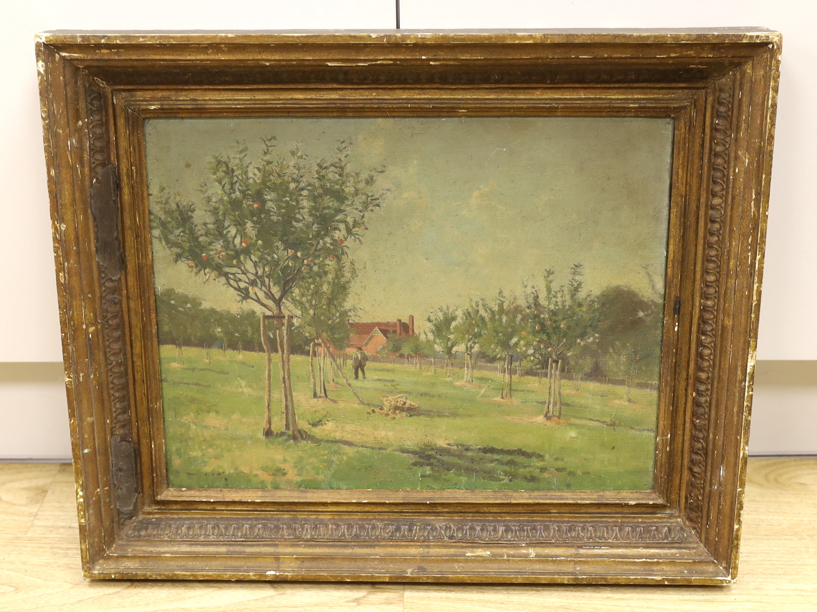 English School, oil on canvas, Orchard landscape, unsigned, 35 x 45cm